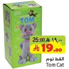 Tom Cat toy that records and plays back sounds.