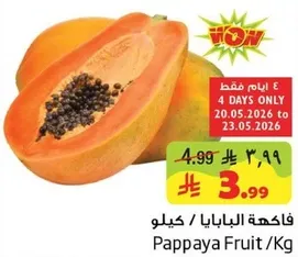 Pappaya Fruit