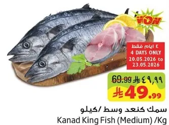 Kanad King Fish (Medium) per Kg