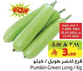 Pumpkin Green Long