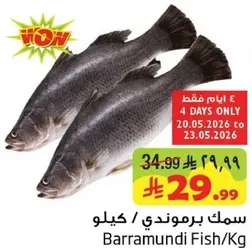 Barramundi Fish/Kg