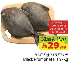 Black Promphet Fish /Kg