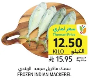 Frozen Indian Mackerel