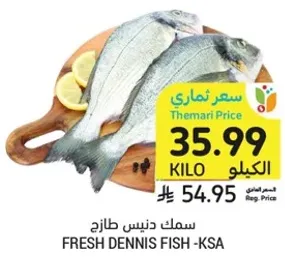 Fresh Dennis Fish - KSA