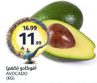 Avocado (KG)