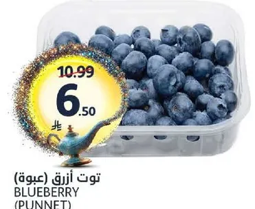 Blueberry (Punnet)