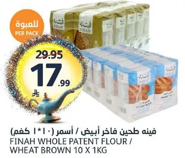 FINAH WHOLE PATENT FLOUR / WHEAT BROWN 10 x 1KG