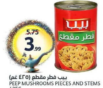 فطر مقطع بيب.