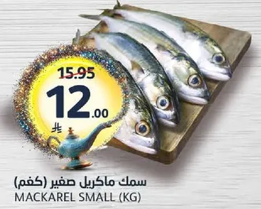 سمك ماكريل صغير (كغم)