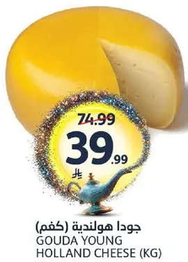 Gouda Young Holland Cheese (KG)