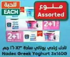 Nadec Greek Yoghurt 3x160g assorted.