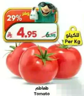 طماطم