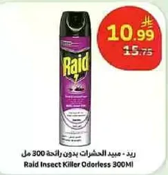 Raid Insect Killer Odorless 300ml