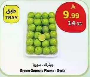 جنزك - سوريا