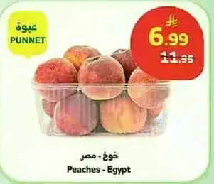 خوخ - مصر