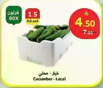 Cucumber - Local
