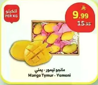 مانجو تيمور - يمني