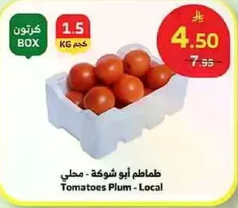 Local Plum Tomatoes - 1.5 KG