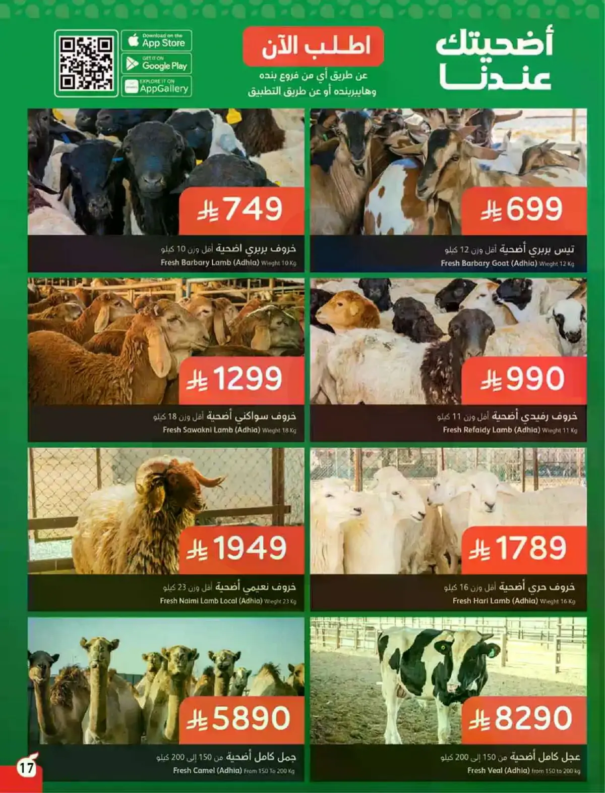 HAJJ MABROUR DEALS - Page 18