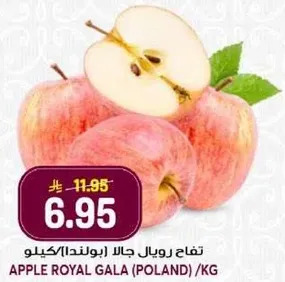 تفاح رويال جالا (بولندا) كيلو