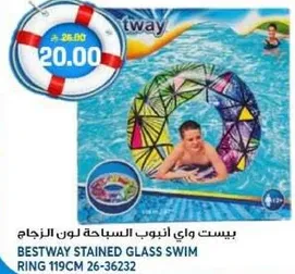 حلقه السباحه زجاج ملون من بست واي 119 سم.