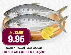 سمك ليلي (اسماك) كيلو