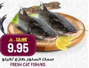 Fresh cat fish per kg.