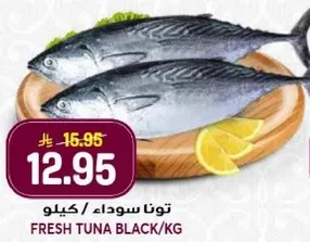 تونا سوداء / كيلو