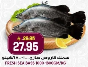 سمك قاروص طازج 1000-1800/كغ