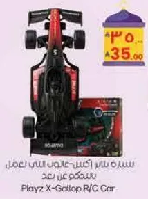 Playz X-Gallop R/C Car