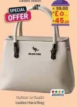 Ladies Hand Bag