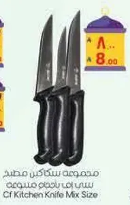 Set of kitchen knives in various sizes.