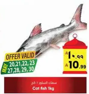 Cat fish 1kg