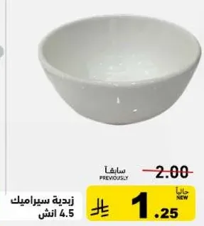 Ceramic bowl 4.5 inches