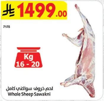 Whole Sheep Sawakni