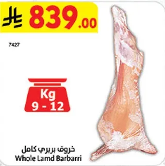 خروف بربري كامل