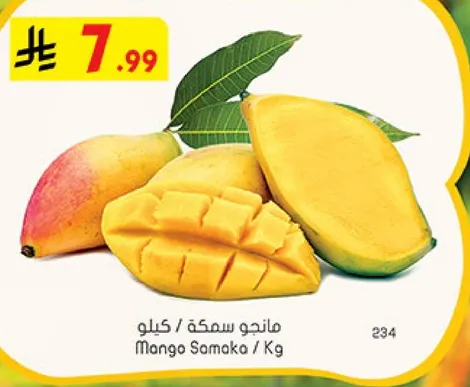 Mango Samaka / Kg