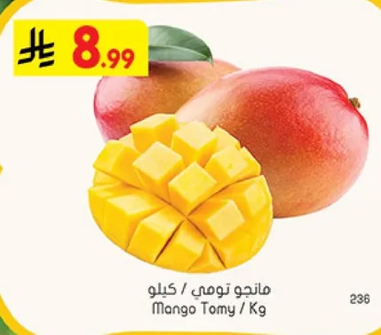 Tommy Mango / Kg