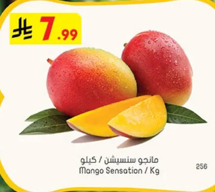 Mango Sensation / Kg