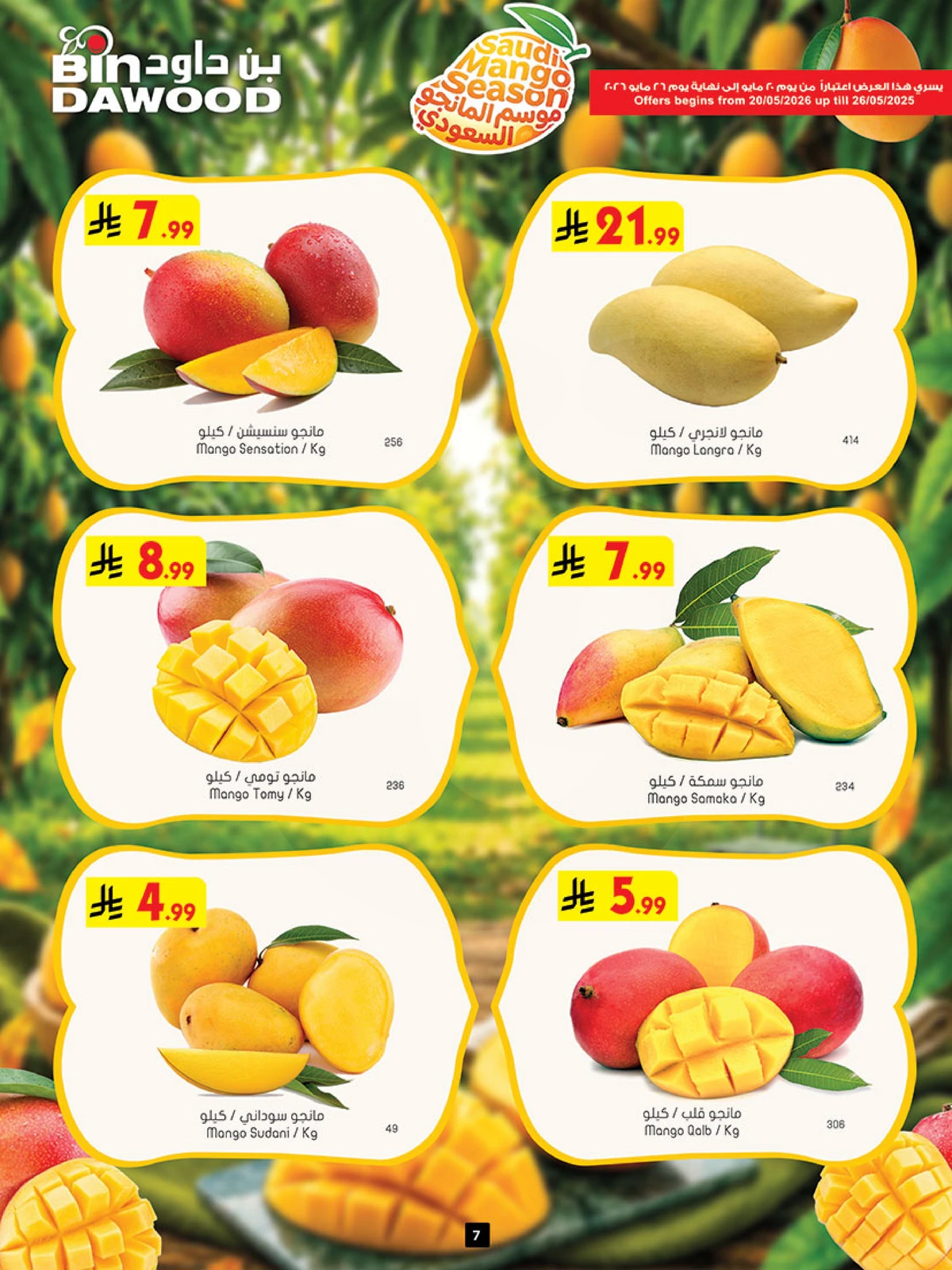 EID DEALS - Page 7