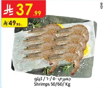 جمبري 50/60 كيلو