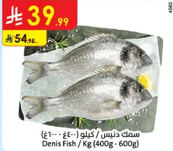 Denis Fish / Kg (400g - 600g)