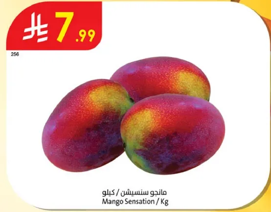 Mango Sensation / Kg