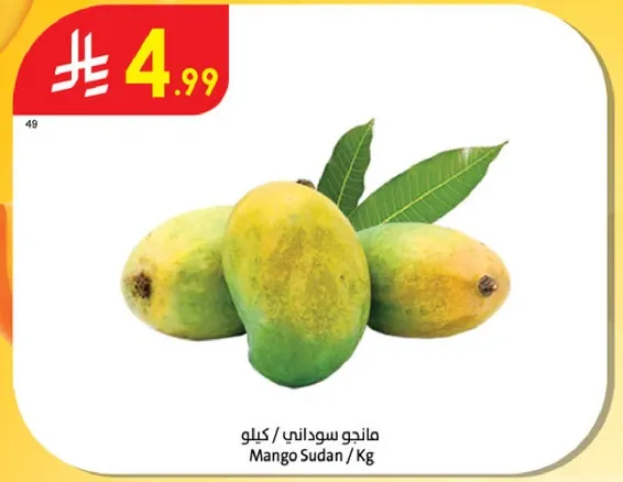 مانجو سوداني / كيلوجرام
