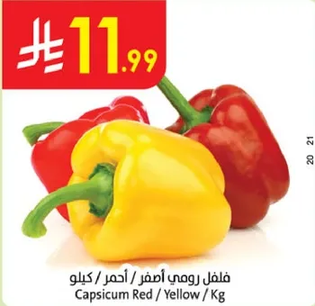 Capsicum Red / Yellow / Kg