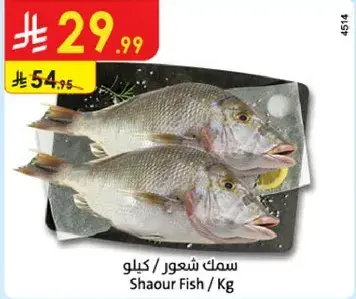 سمك شعور / كيلو