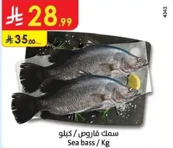 سمك فاروس / كيلو