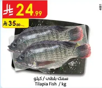 سمك بلطي / كيلو