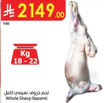 لحم خروف نعيمي كامل