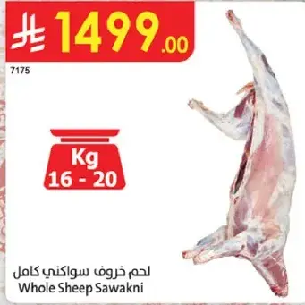 لحم خروف سواكني كامل